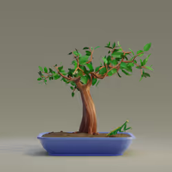 Bonsai #4150