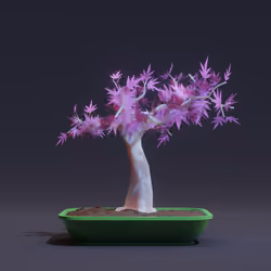 Bonsai #3543