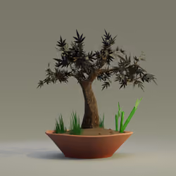 Bonsai #5451