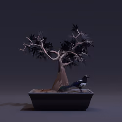 Bonsai #6552