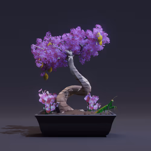 Bonsai Zenft