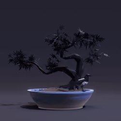 Bonsai #3678