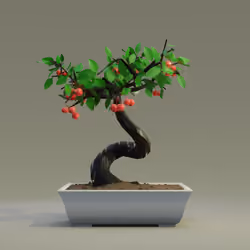 Bonsai #6750