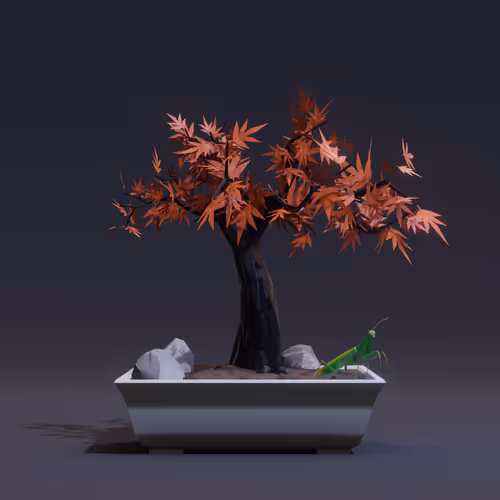 Bonsai Zenft