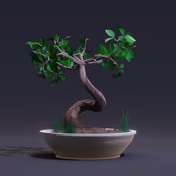 Bonsai #5993