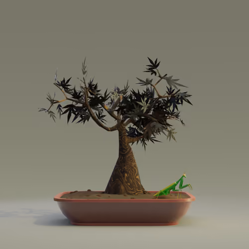Bonsai #8389