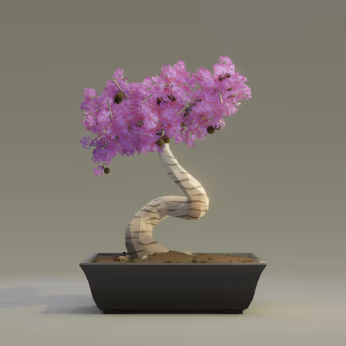 Bonsai Zenft