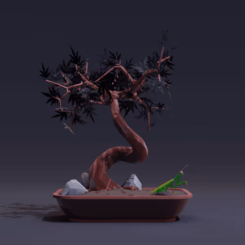 Bonsai Zenft