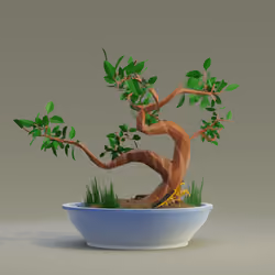 Bonsai #1686