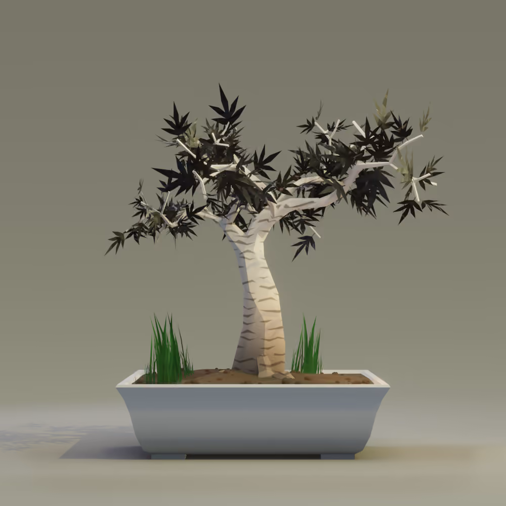 Bonsai #8853