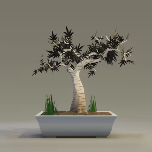 Bonsai #8853