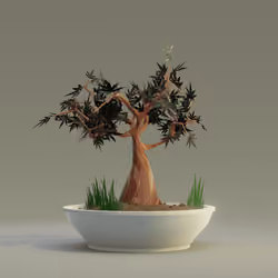 Bonsai #6510