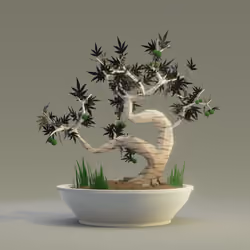 Bonsai #8356