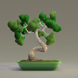 Bonsai #5907