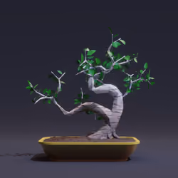 Bonsai #8471