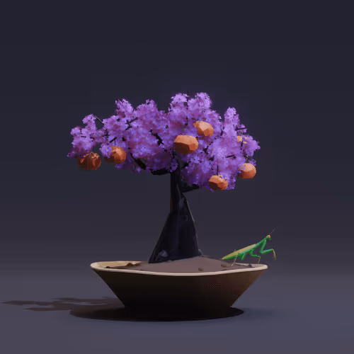 Bonsai Zenft