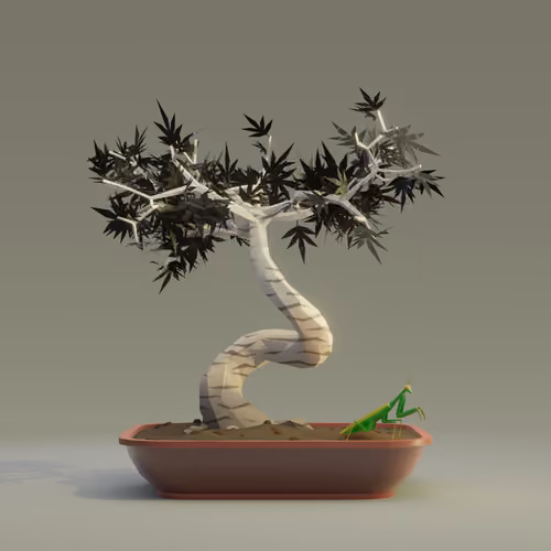 Bonsai #6237