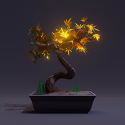 Bonsai #5797