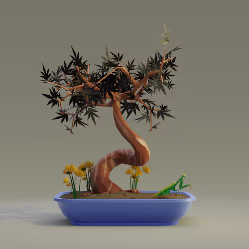 Bonsai #6062