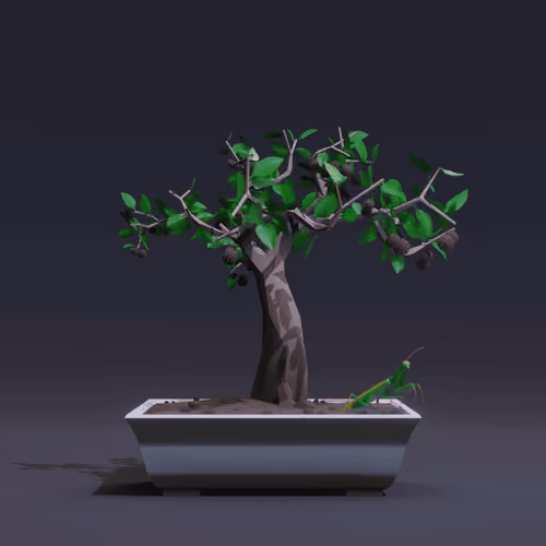 Bonsai #4571