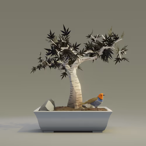 Bonsai #5679