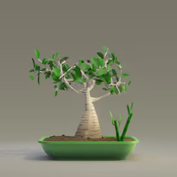 Bonsai #1767