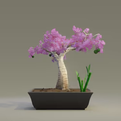 Bonsai #1689