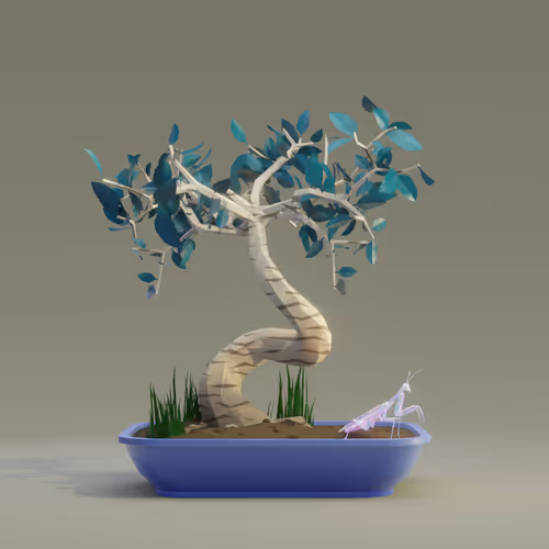 Bonsai Zenft