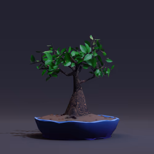 Bonsai Zenft