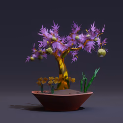 Bonsai #7374