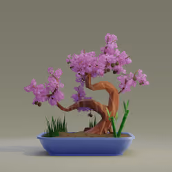 Bonsai #6720
