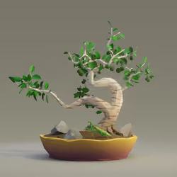 Bonsai #798