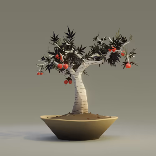 Bonsai Zenft