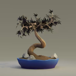 Bonsai #7564