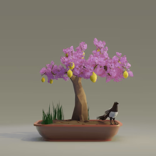 Bonsai #5652