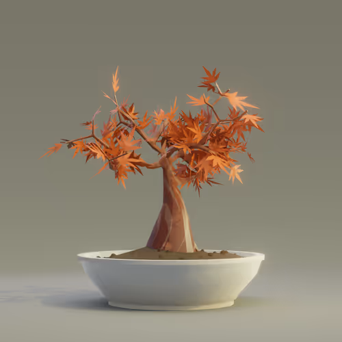Bonsai Zenft