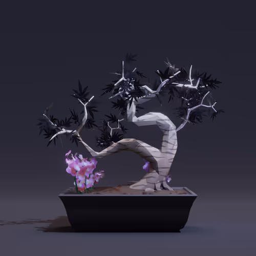 Bonsai Zenft