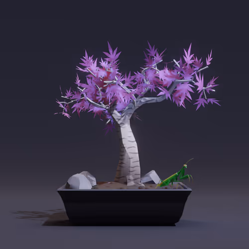 Bonsai Zenft