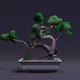 Bonsai #4022