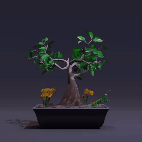Bonsai Zenft