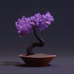 Bonsai #2479