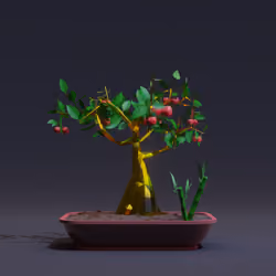 Bonsai #644