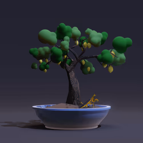 Bonsai Zenft