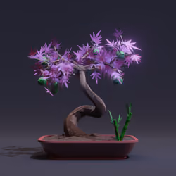 Bonsai #7525
