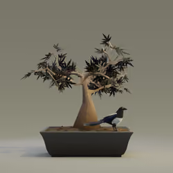 Bonsai #660