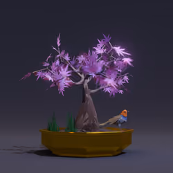 Bonsai #804