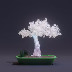Bonsai #4655
