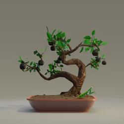 Bonsai #2871