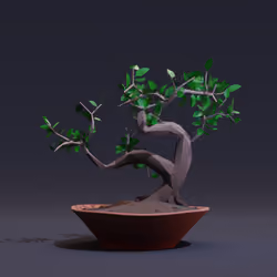 Bonsai #5793