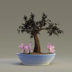 Bonsai #6258